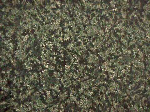 BAMBOO GREEN.jpg (57490 �o�C�g)