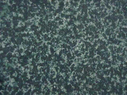 FOREST GREEN.jpg (39018 �o�C�g)