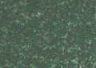 LUCKY GREEN.jpg (26257 �o�C�g)