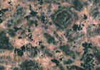 SKIN.jpg (53549 �o�C�g)