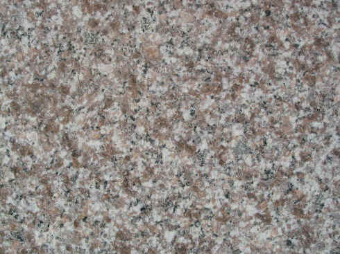 ROSA BETA.jpg (94570 �o�C�g)