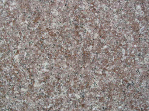 ROSA IRIS.jpg (95306 �o�C�g)