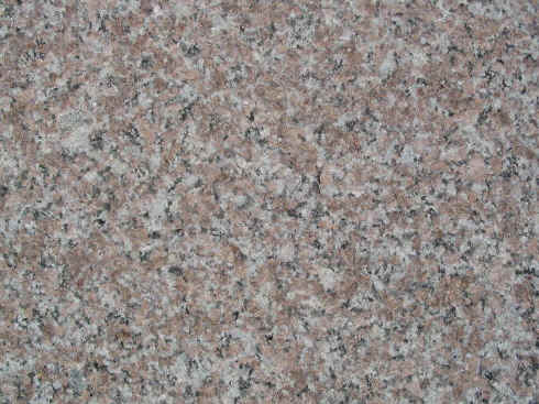 ROSA QD-F.jpg (93922 �o�C�g)