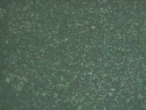 LUCKY GREEN.jpg (26257 �o�C�g)