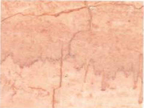 M063P rosso marfilia.jpg (16088 �o�C�g)