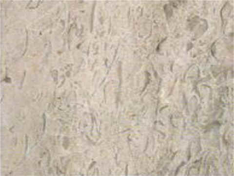 M065 crystal bianco.jpg (23006 �o�C�g)