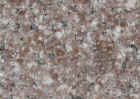 ROSA IRIS.jpg (95306 �o�C�g)