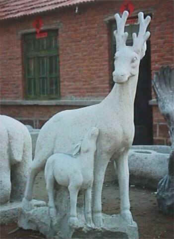 granit animal 3.jpg (25452 oCg)