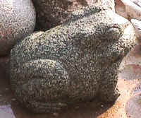 green granite animal.JPG (78922 �o�C�g)