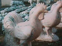 animal2.jpg (29177 �o�C�g)