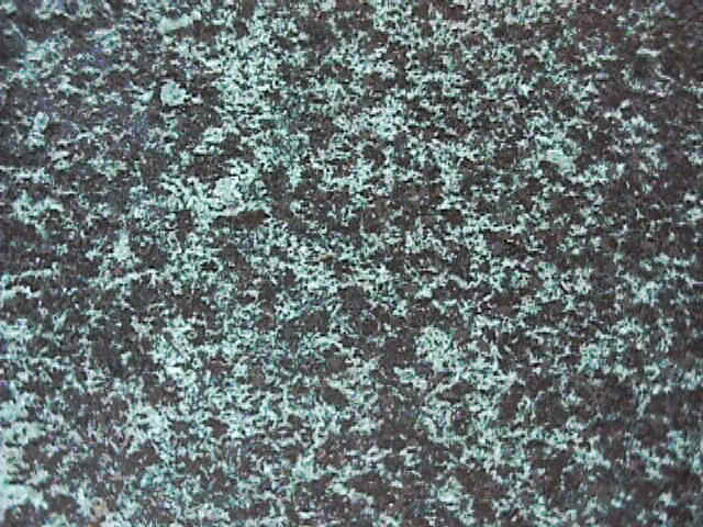 G-jh373.jpg (92366 �o�C�g)