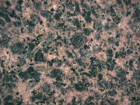 SKIN.jpg (53549 �o�C�g)