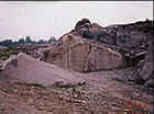 purple stripe mine.jpg (8005 oCg)