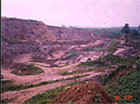 sorghum red mine.jpg (20760 oCg)